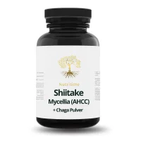 Shiitake Mycellia (AHCC) + Chaga Pulver
